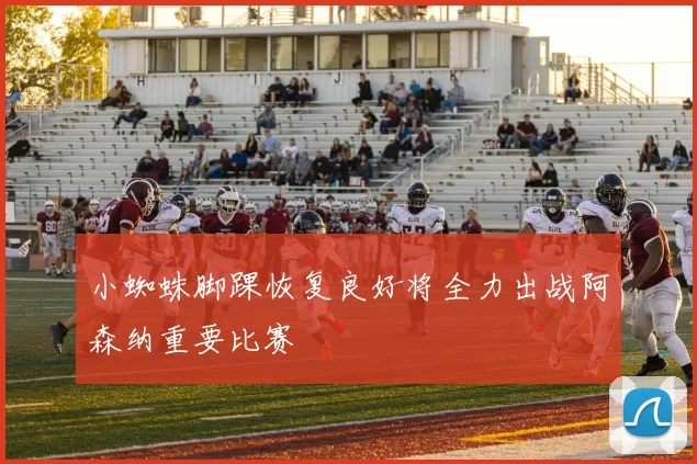 小蜘蛛脚踝恢复良好将全力出战阿森纳重要比赛